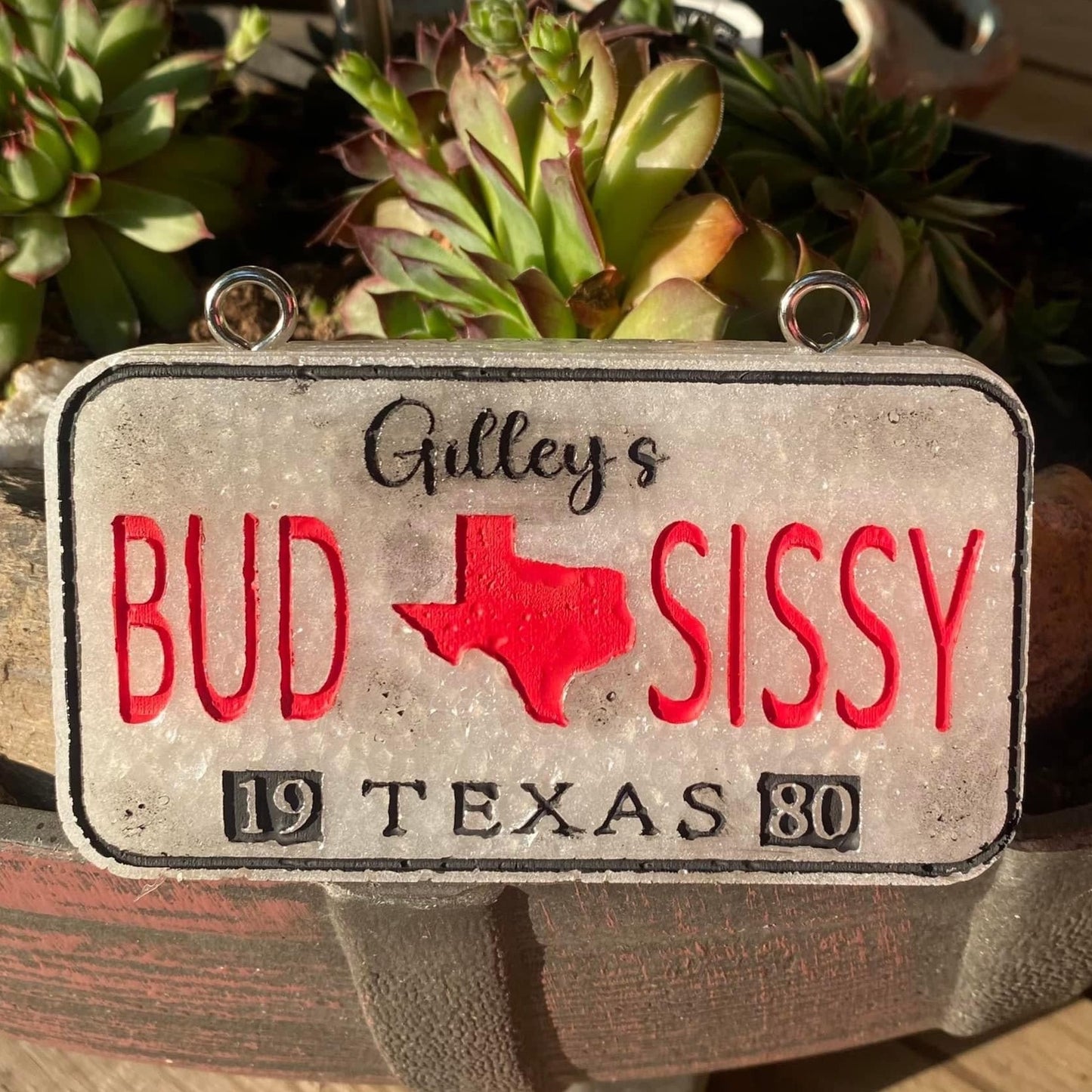 Urban Cowboy Bud & Sissy License Plate Silicone Mold